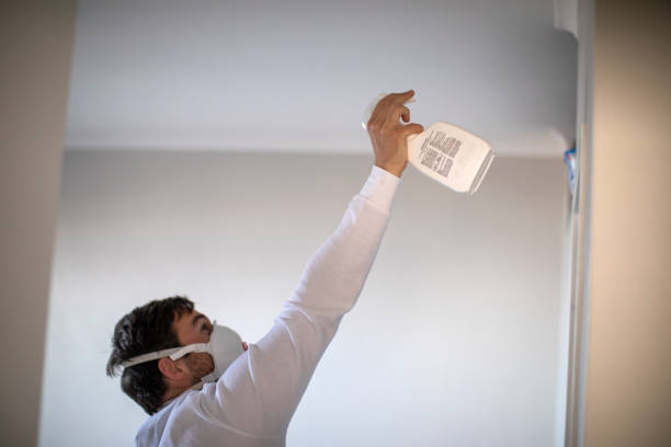 Best Kitchen Mold Remediation in Hurleyville, NY
